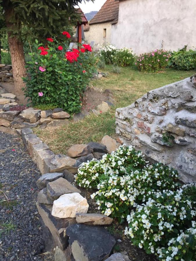 Luis Golyas Haza Villa Raposka ภายนอก รูปภาพ