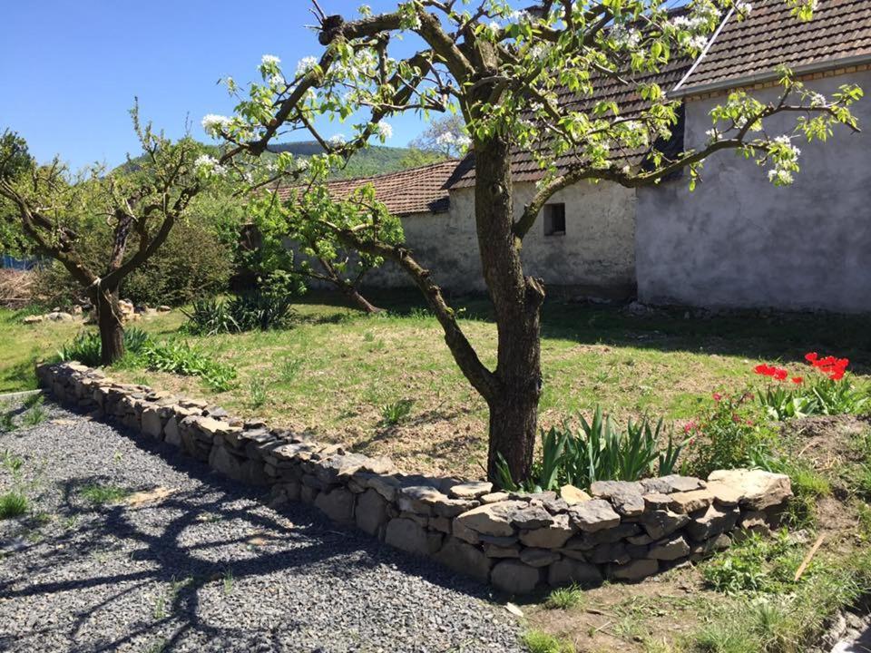 Luis Golyas Haza Villa Raposka ภายนอก รูปภาพ